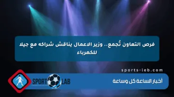 فرص التعاون تُجمع.. وزير الأعمال يناقش شراكة مع جيلا للكهرباء